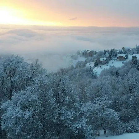 Goma Kop Kopaonik