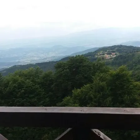 Goma Kop * Kopaonik